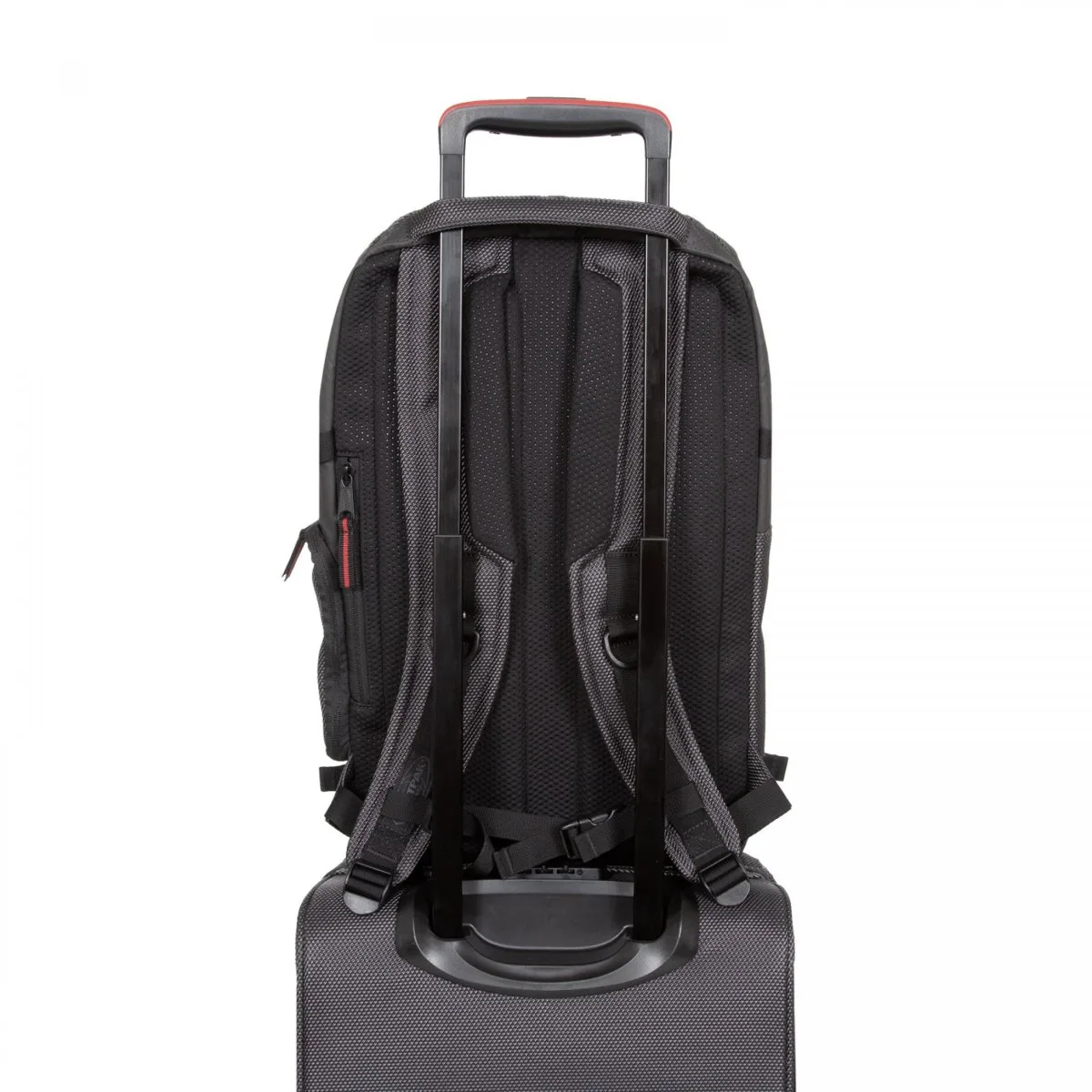 Eastpak Tecum M CNNCT AccentGrey 8 Eastpak Tecum M CNNCT AccentGrey – Bild 8